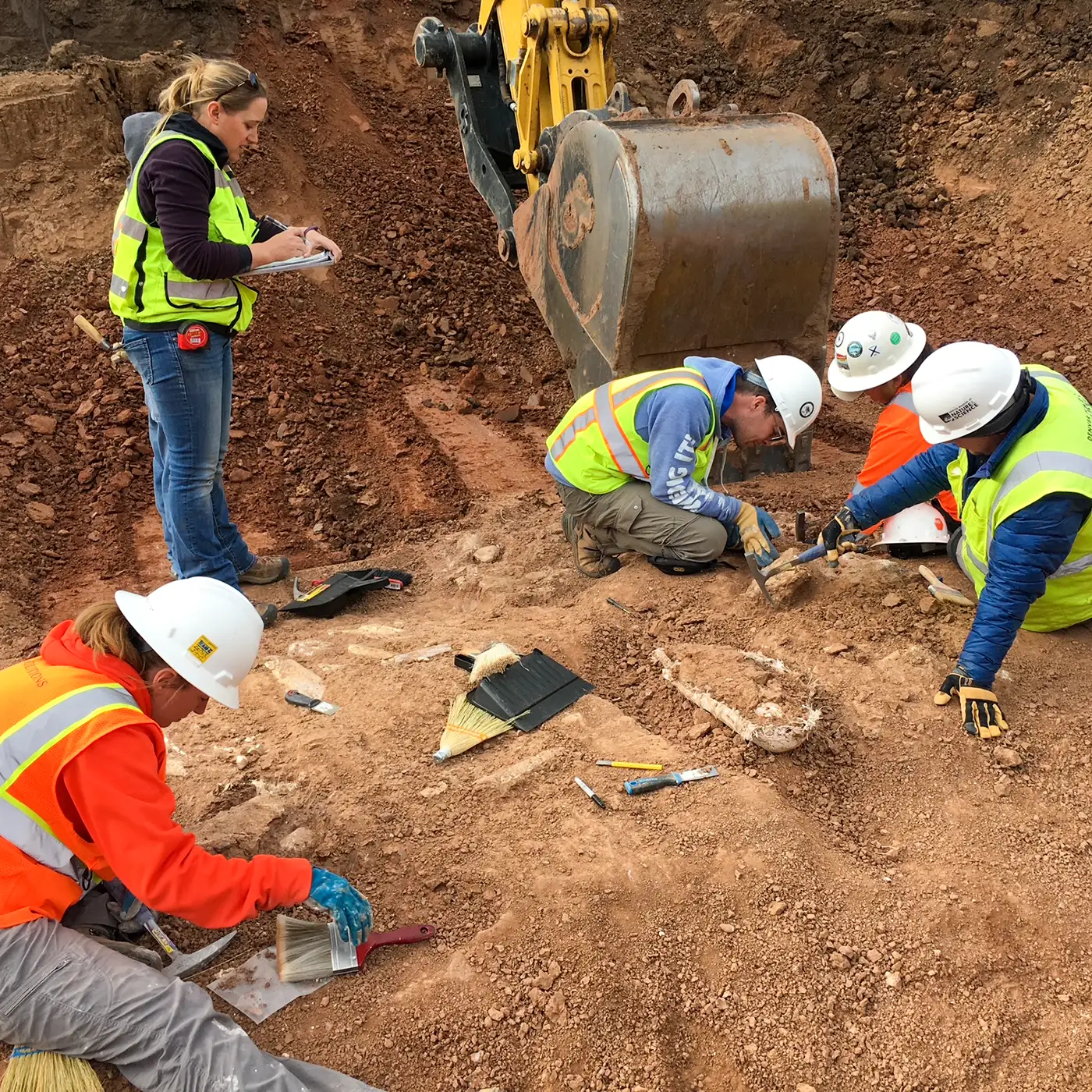 Paleo Resource Specialists geologis and palentologist