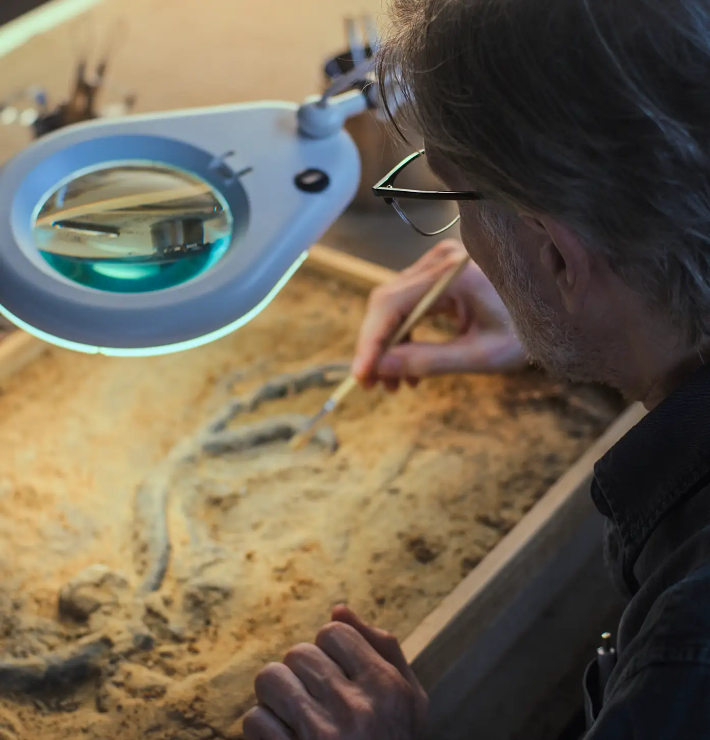 Paleontologist at work