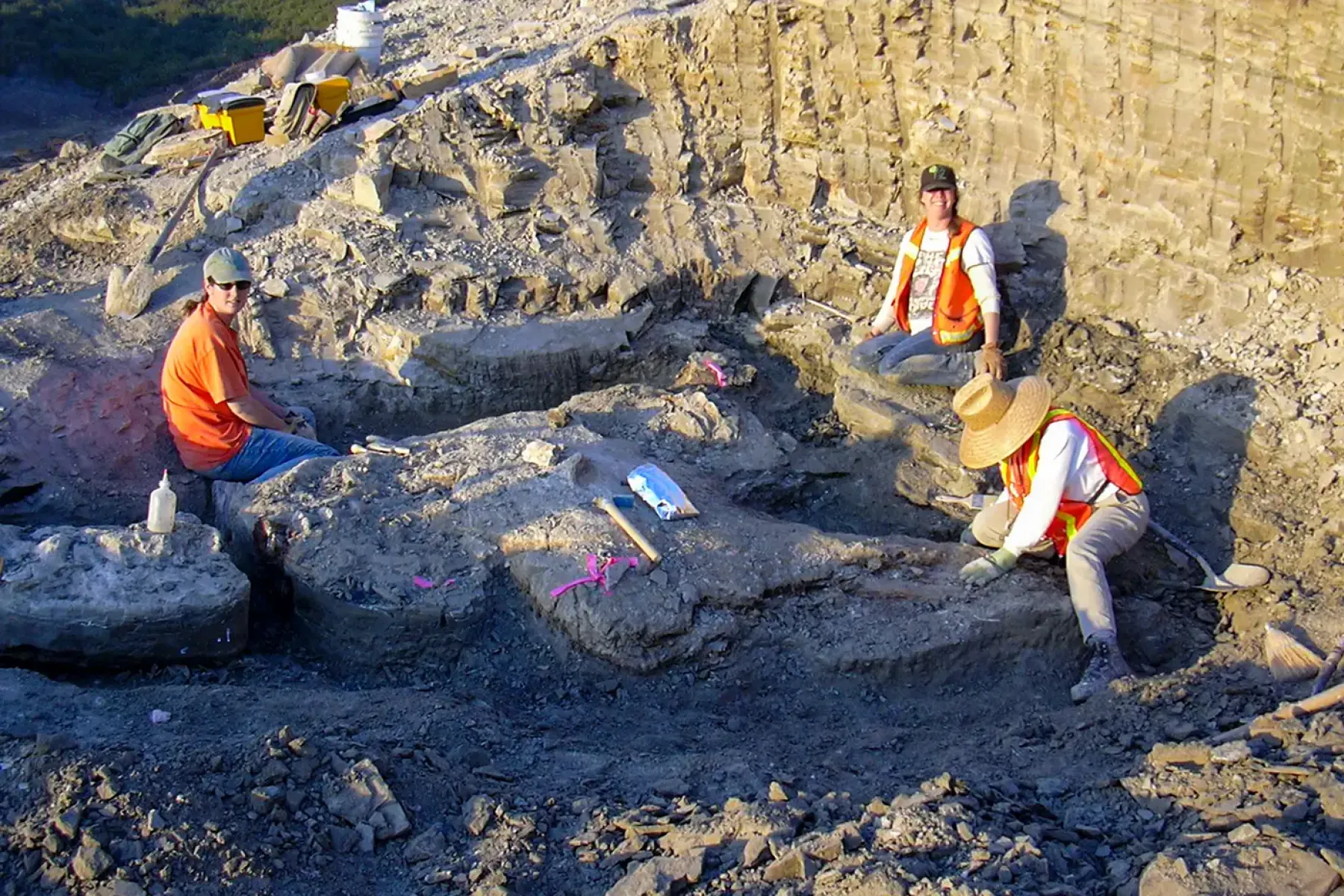 Paleontologists at work