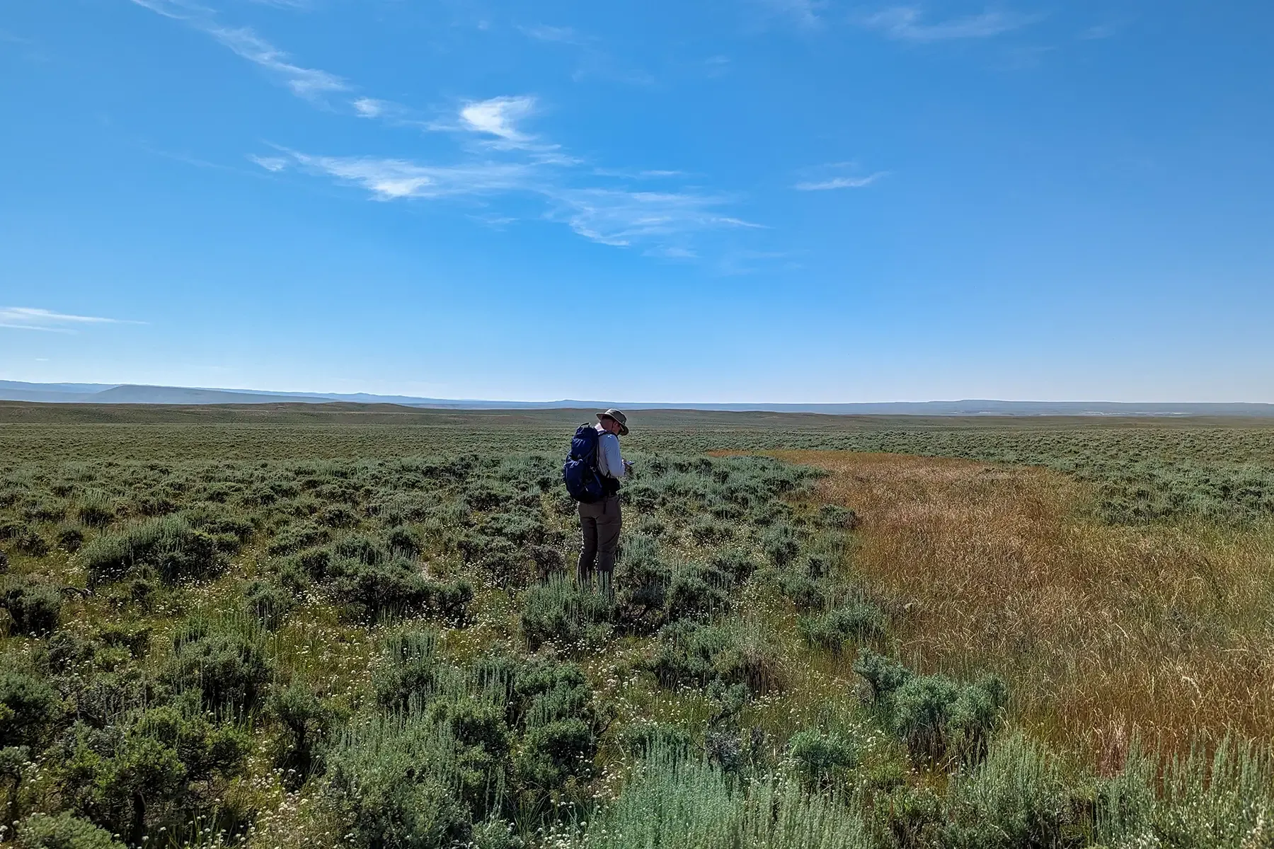 Scientist in the field