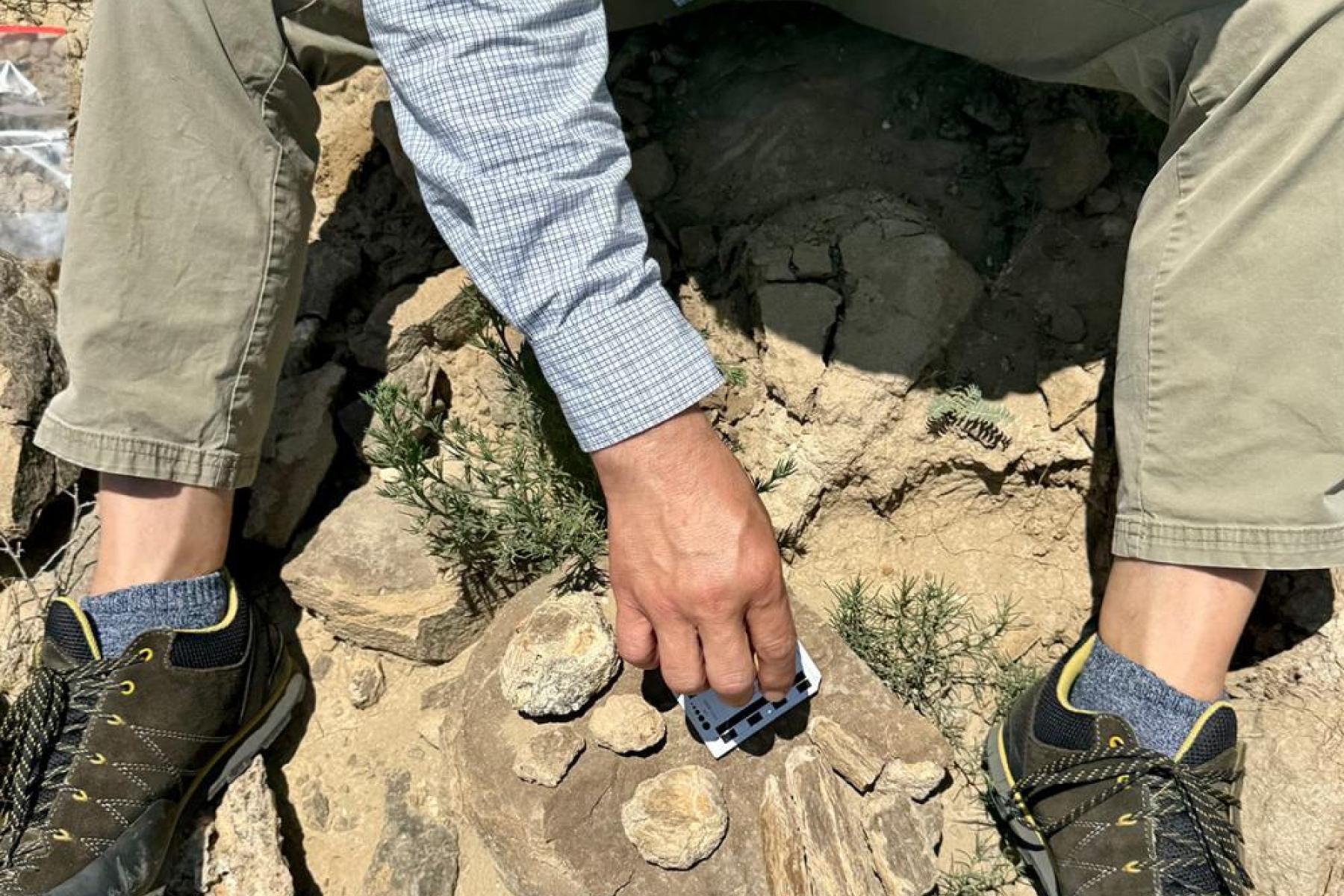 Josh carefully prepares fossil specimens for transport and curation.