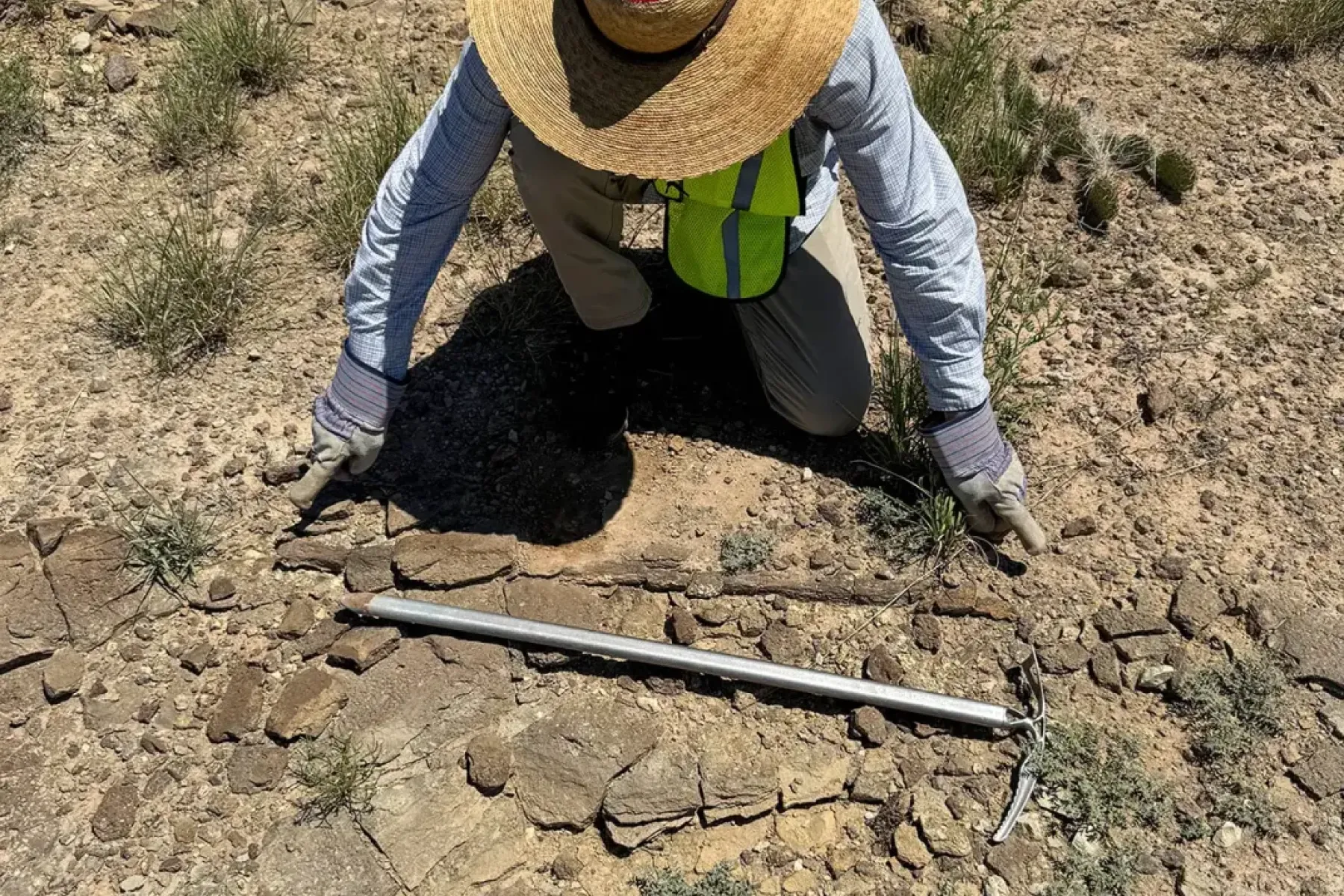 Josh records measurements of a fossilized log during paleontological field documentation in New Mexico.