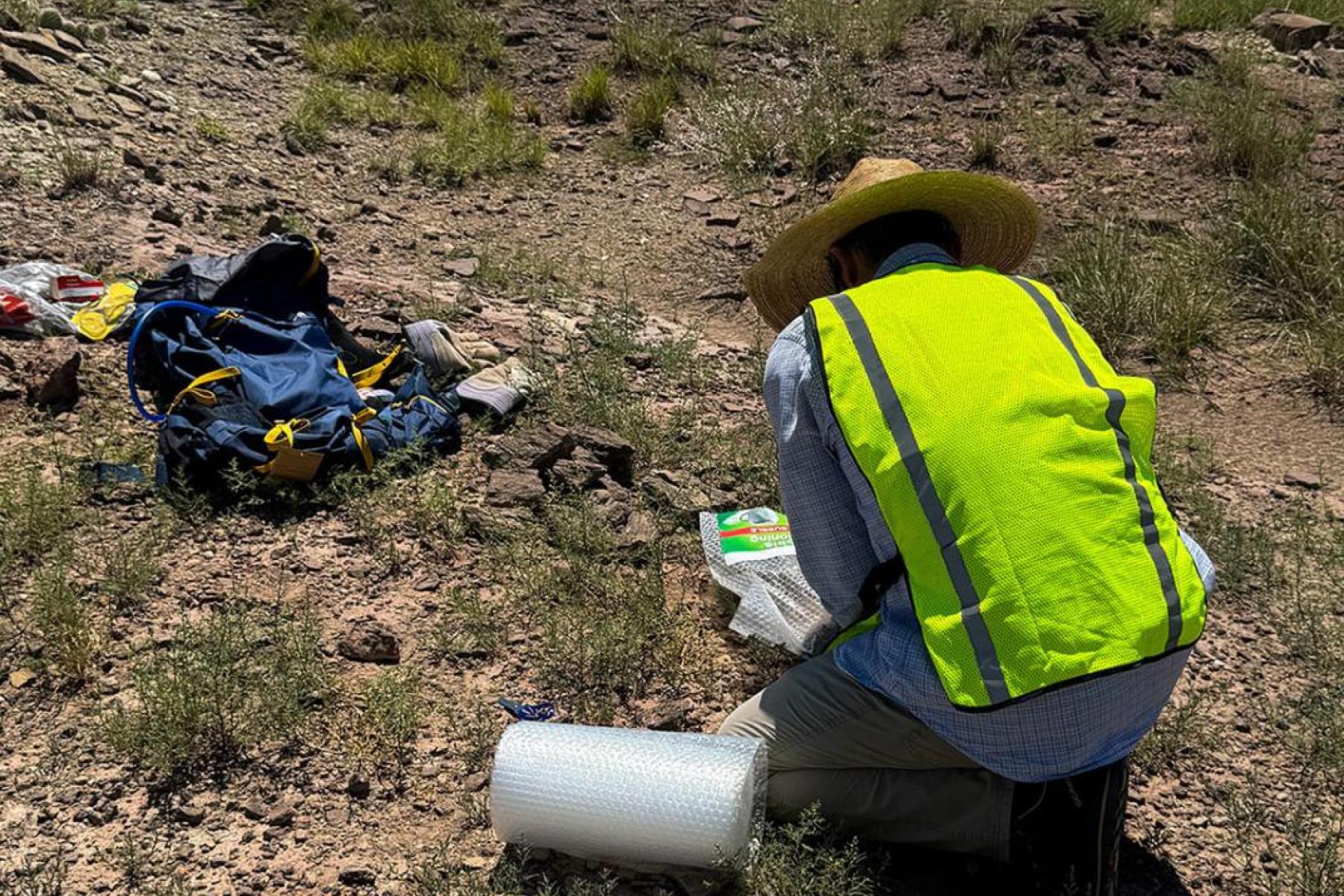 Josh securing fossil wood specimens for delivery to the New Mexico Museum of Natural History and Science.