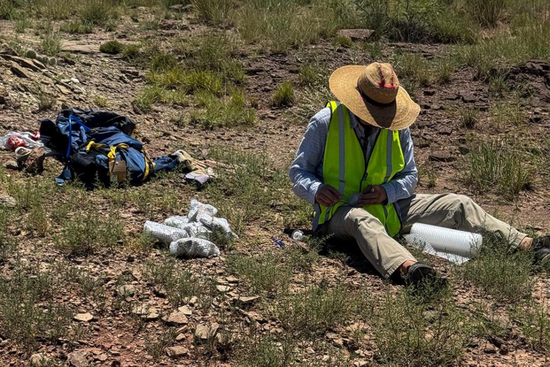 Wrapping and labeling fossil wood to ensure safe transport to the New Mexico Museum of Natural History and Science collections.